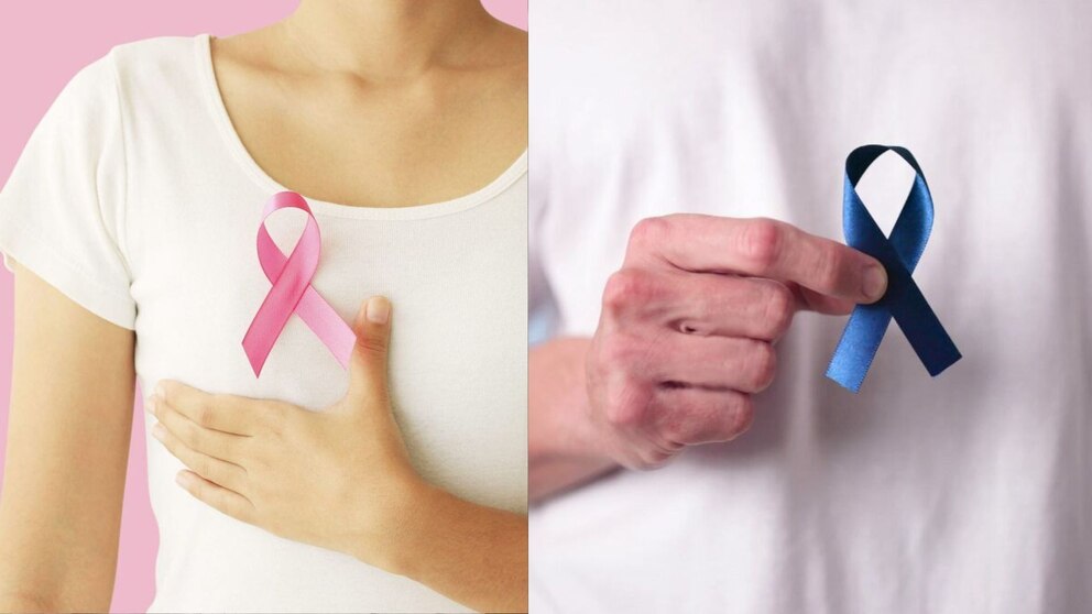 ALCEC - Asociación de Lucha Contra el Cáncer