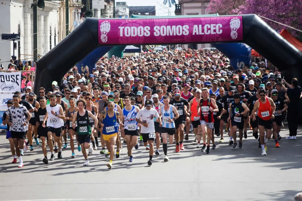 ALCEC - Asociación de Lucha Contra el Cáncer